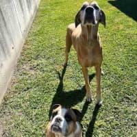 Photo of Humphrey And Louie