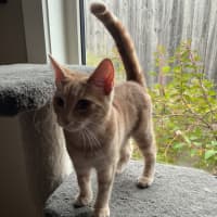 Photo of Sunny