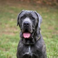 Photo of Zeus