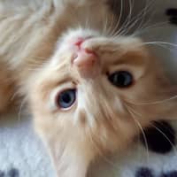 Photo of Cinnamon And Her Spices 