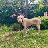 Photo of Marshall Uffelman