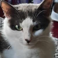 Photo of Snickers