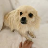 Photo of Mia 