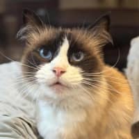 Photo of Knucker & Moley