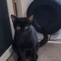 Photo of Charlie 