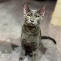 Photo of Eddi