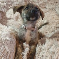 Photo of Missy Cooper