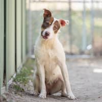 Photo of Bella
