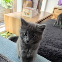 Photo of Storm
