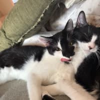 Photo of Buster & Harry