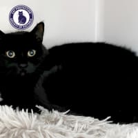 Photo of Ebony Sua012975