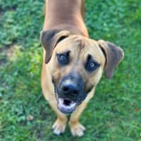 Photo of Rocko