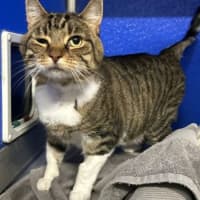 Photo of Tina