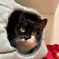 Photo of Evie Dwelly