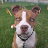 Photo of Big Stoo