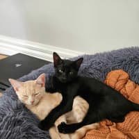 Photo of Ginny ❤️