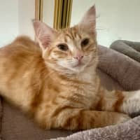 Photo of Tilly Torrens