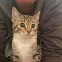 Photo of Amylou