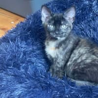 Photo of Ellen