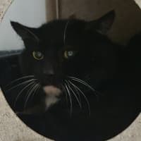 Photo of Captain Jack Sparrow 