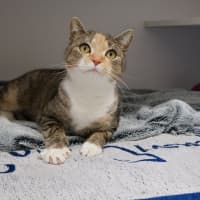 Photo of Miya