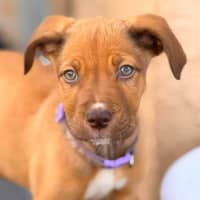 Photo of Maizie