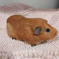 Photo of Barry