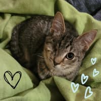 Photo of 💖 Chloe & Charlie 💖