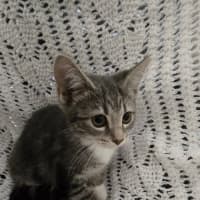 Photo of Maelle