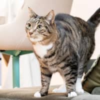 Photo of Louie Haliwell