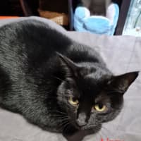 Photo of Lizzie