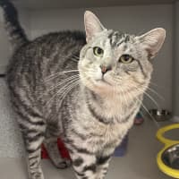 Photo of Sparky