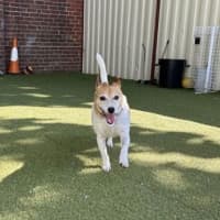 Photo of Billy