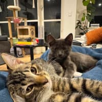 Photo of Geez & Fumo