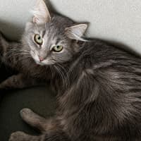 Photo of Matilda