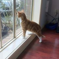 Photo of Georgie