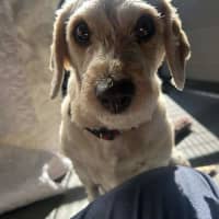 Photo of Wanda