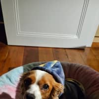 Photo of Lexi