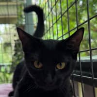 Photo of Mercedes 