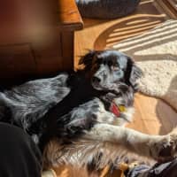 Photo of Finn Quinell