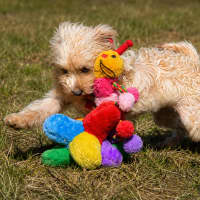 Photo of Matilda