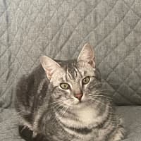 Photo of Cloud