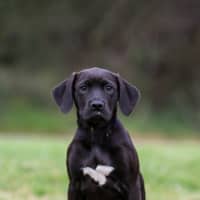 Photo of Beatrice