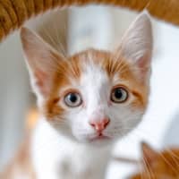 Photo of Timmy