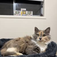 Photo of Hazel