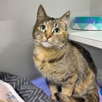 Photo of Little Miss