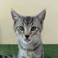 Photo of Parker
