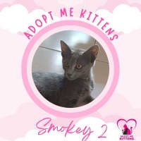 Photo of Smokey 2