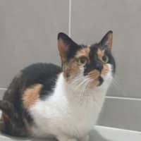 Photo of Queen Mimmi