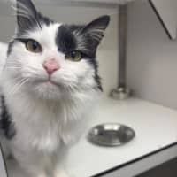 Photo of Winnie
